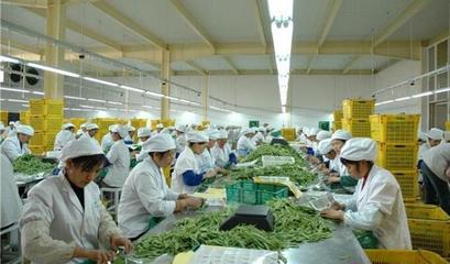 農(nóng)村辦廠指南 適合人群與農(nóng)產(chǎn)品加工盈利方向